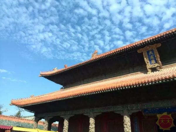 山东,力量与梦想的汇聚之地